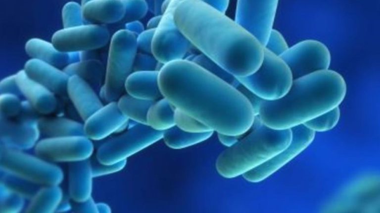 Lee más sobre el artículo Virus desconocido: qué dicen los primeros resultados de las pruebas del Malbrán