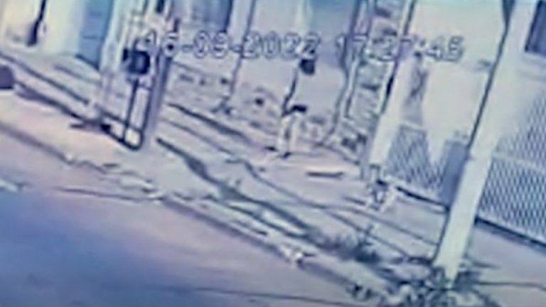 Lee más sobre el artículo Campana: Una mujer salió a pasear el perro y apareció descuartizada en lo de su vecino