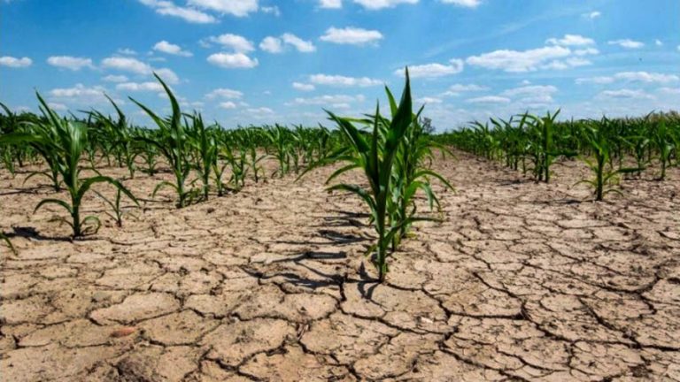 Lee más sobre el artículo Cuáles son las zonas del mundo que serán inhabitables por las olas de calor