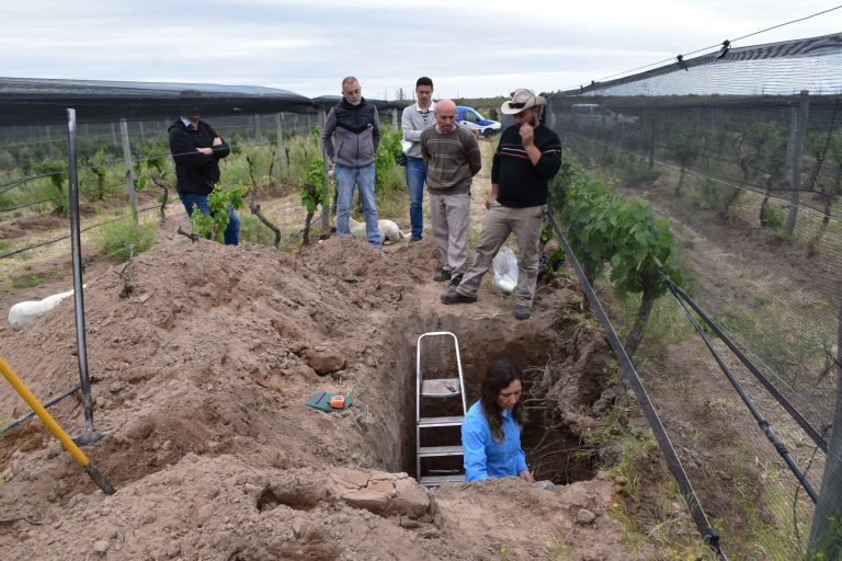 Lee más sobre el artículo Con muestras de suelo y agua en cuatro viñedos de San Luis, avanza la conformación del Mapa de Aptitud Vitivinícola