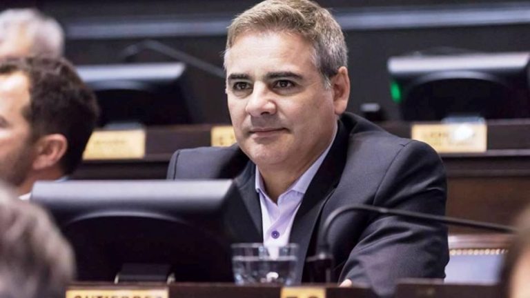 Lee más sobre el artículo Diputado del Frente de Todos reclamó que se baje la edad de imputabilidad a 14 años