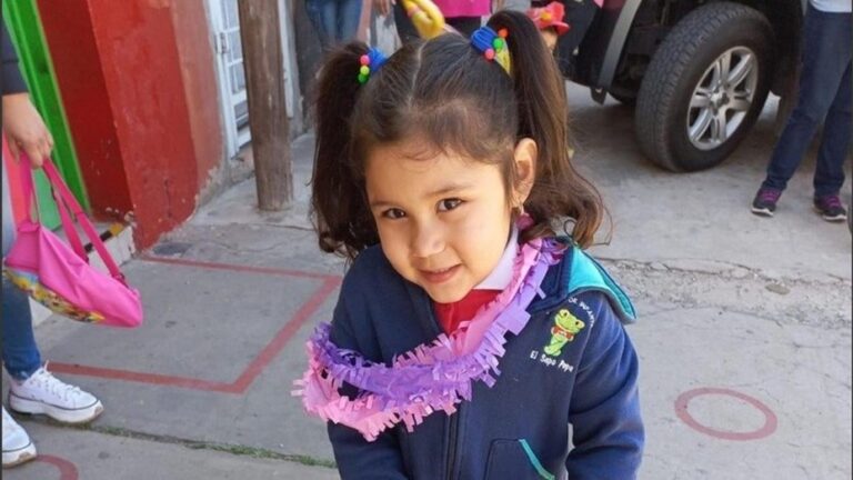 Lee más sobre el artículo Murió la nena de 5 años alcanzada por una bala perdida en los festejos de Navidad