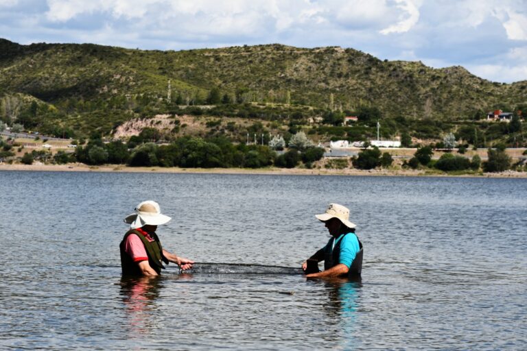 Lee más sobre el artículo Realizaron estudios biológico-pesqueros en los diques Potrero de los Funes y La Florida