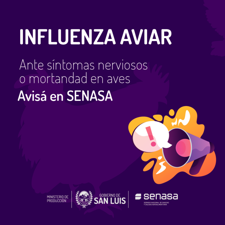 Lee más sobre el artículo Gripe Aviar: coordinan acciones de alerta y prevención