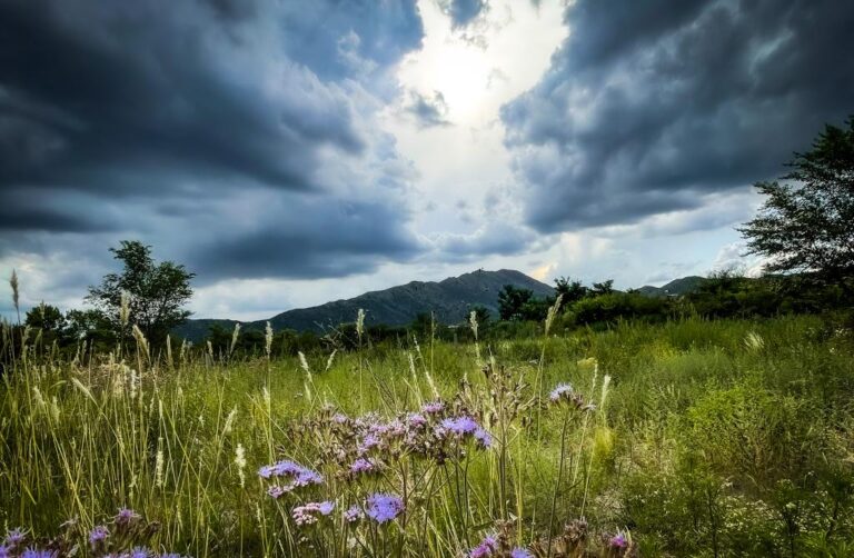 Lee más sobre el artículo Suben las máximas de este miércoles, pero el viento del este refrescará el jueves