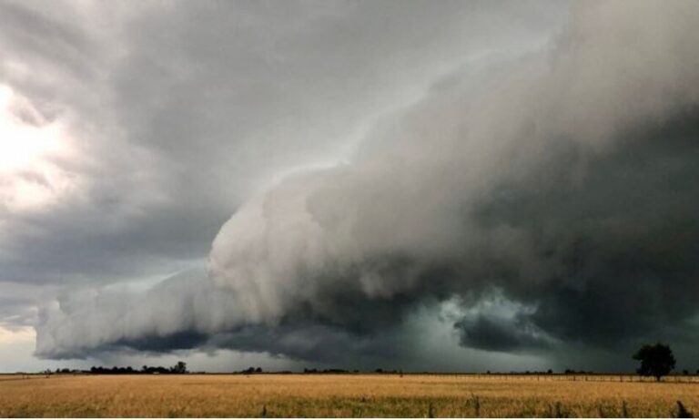 Lee más sobre el artículo Pronostican que las lluvias abundantes para el campo llegarán en abril y se extenderán en 2024