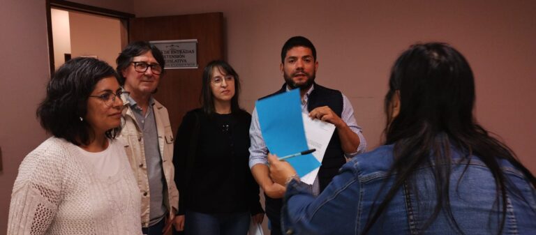 Lee más sobre el artículo Modelo Productivo: Villa Mercedes capital adjunta