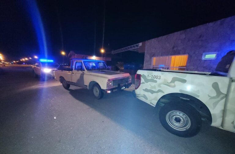 Lee más sobre el artículo Villa Mercedes: demoraron un cazador furtivo