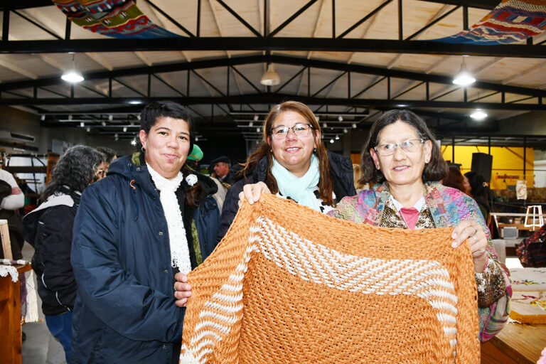 Lee más sobre el artículo Encuentro Provincial de Tejedoras: “Tejer es algo tan lindo que llega al alma”