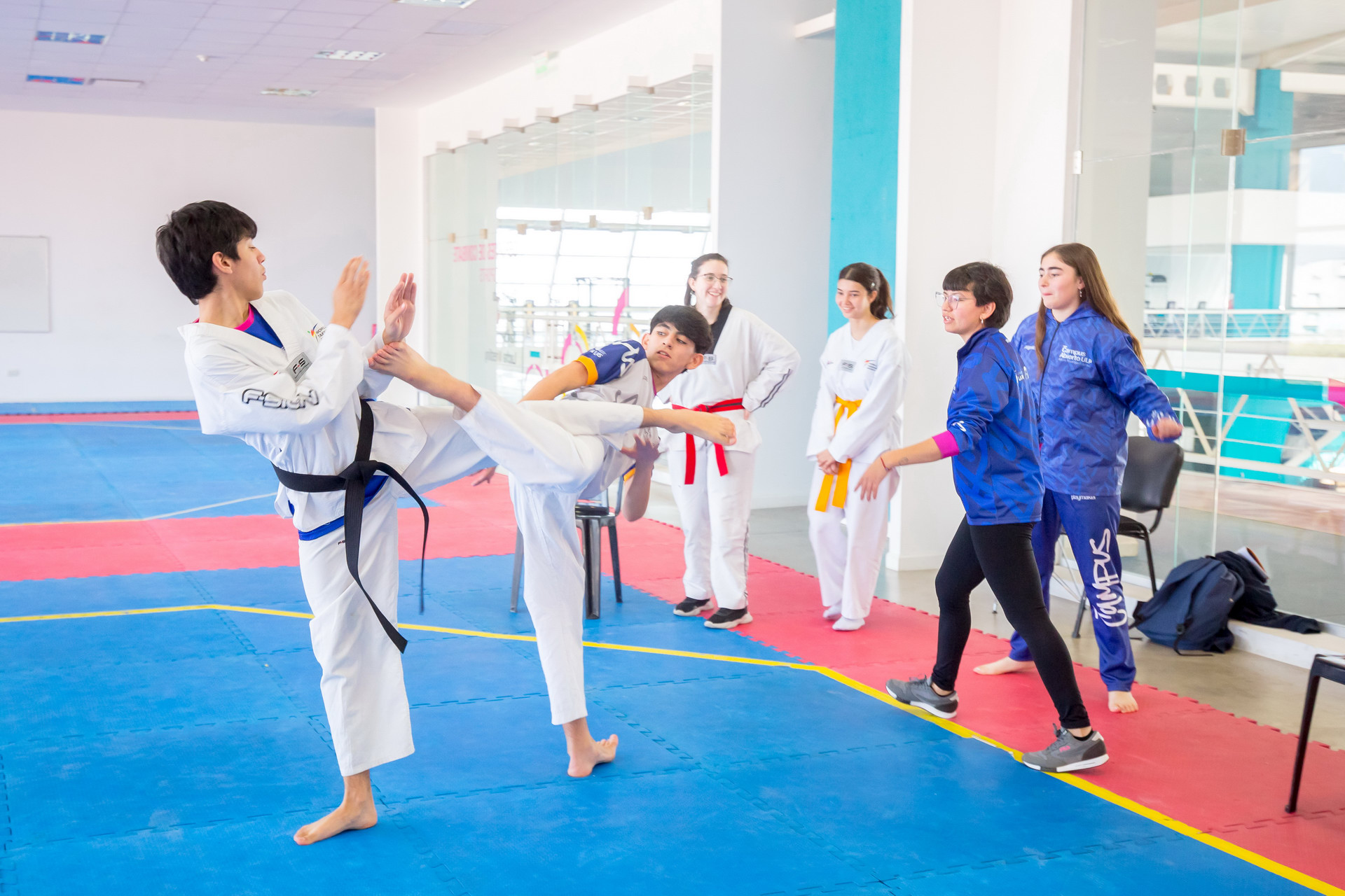 Read more about the article Taekwondo: capacitación arbitral en la ULP