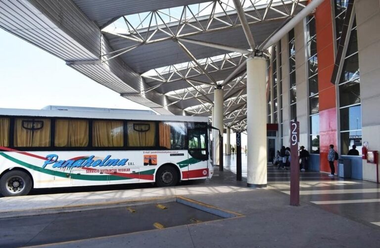 Lee más sobre el artículo Este domingo 13, el transporte interurbano será gratuito
