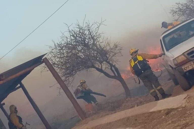 Lee más sobre el artículo Continúan con los trabajos para controlar el incendio en la zona de Río Grande