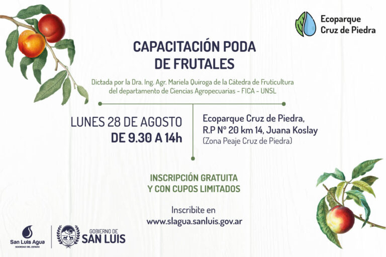 Lee más sobre el artículo Dictarán una capacitación en poda de frutales