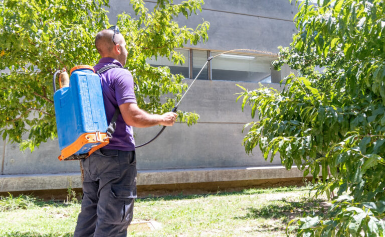 Lee más sobre el artículo El Programa de Erradicación de la Mosca de los Frutos realizó 130 mil visitas domiciliarias