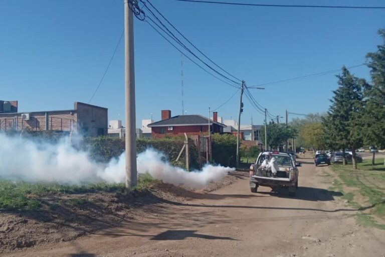 Lee más sobre el artículo Confirmaron la detección de dos nuevos casos de dengue en la provincia