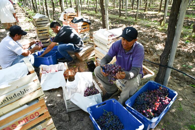 Lee más sobre el artículo “Sol Puntano recibió $937 millones y no encontramos las rendiciones”