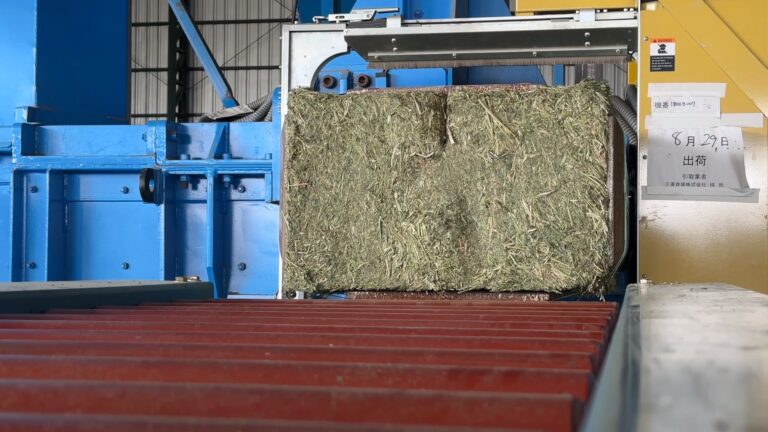 Lee más sobre el artículo Plan Plurianual de Alfalfa: San Luis tiene en marcha la cuarta planta más importante del país
