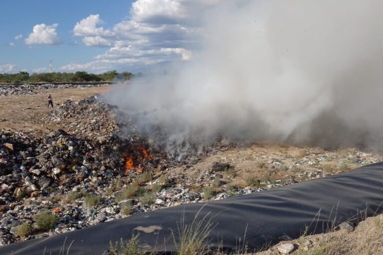 Lee más sobre el artículo Controlaron un incendio en Carpintería