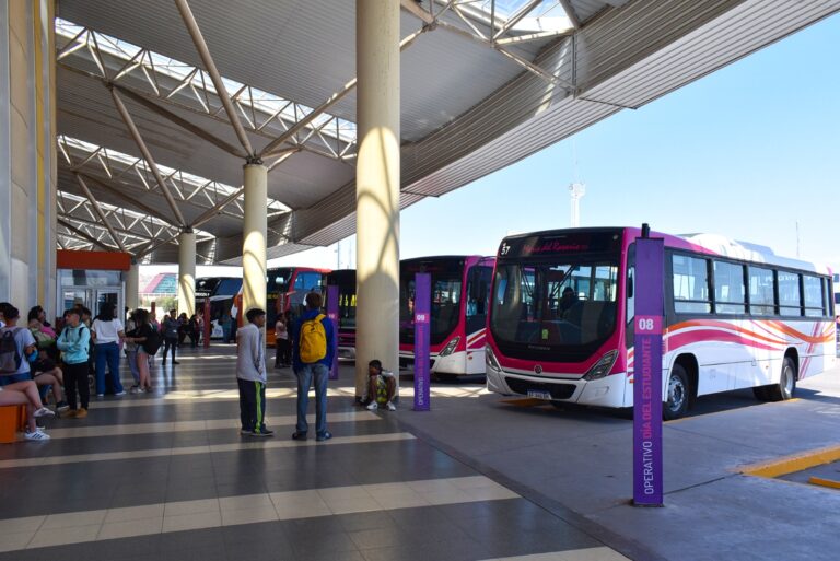 Lee más sobre el artículo Restablecen al 100% las frecuencias en el transporte interurbano