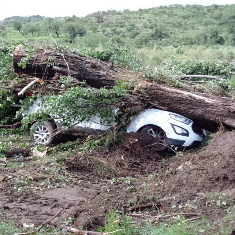 Lee más sobre el artículo Un temporal pegó fuerte en El Trapiche