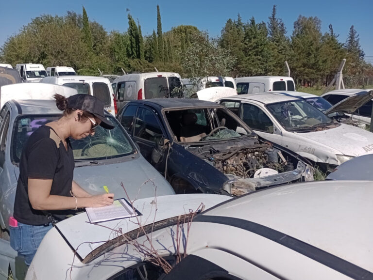 Lee más sobre el artículo Avanza el Censo Automotor en todo San Luis
