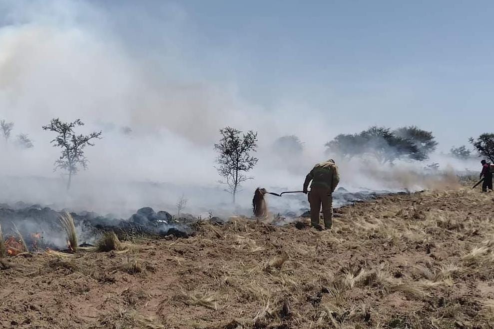 Read more about the article La Provincia trabaja en la creación de un plan de contingencia ante incendios forestales