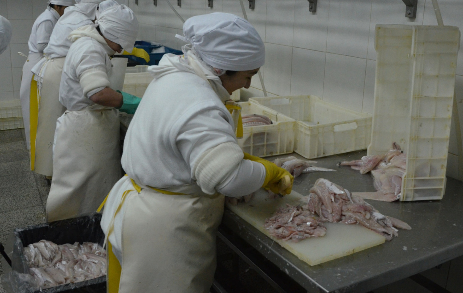 Read more about the article Senasa ofrece consejos para un consumo seguro de pescado en Semana Santa