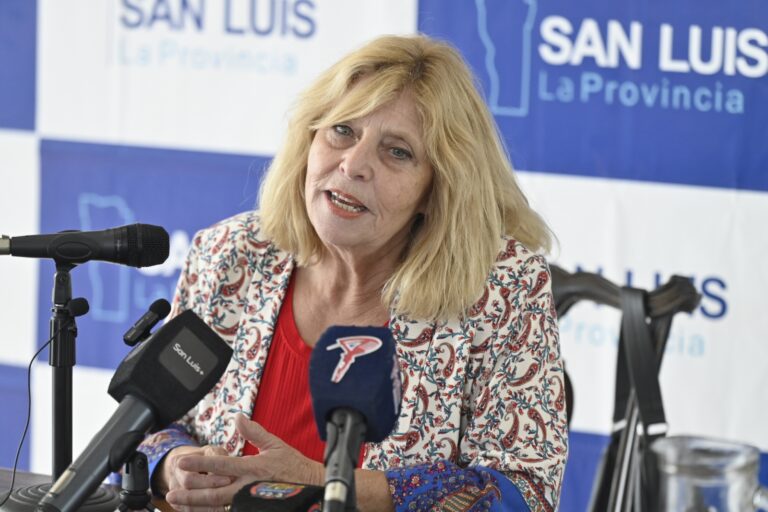 Lee más sobre el artículo Extienden el Plazo para el Pago de Impuestos Inmobiliario y Automotor en San Luis: Una Buena Noticia para los Contribuyentes
