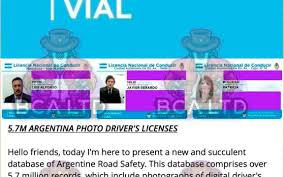 Read more about the article Robaron los datos de todas las licencias de conducir del país