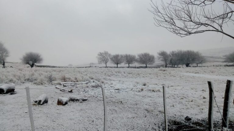 Lee más sobre el artículo San Luis se prepara para un descenso de temperatura y nevadas en las sierras