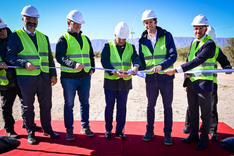 Lee más sobre el artículo San Luis inaugura el primer parque eólico híbrido del país