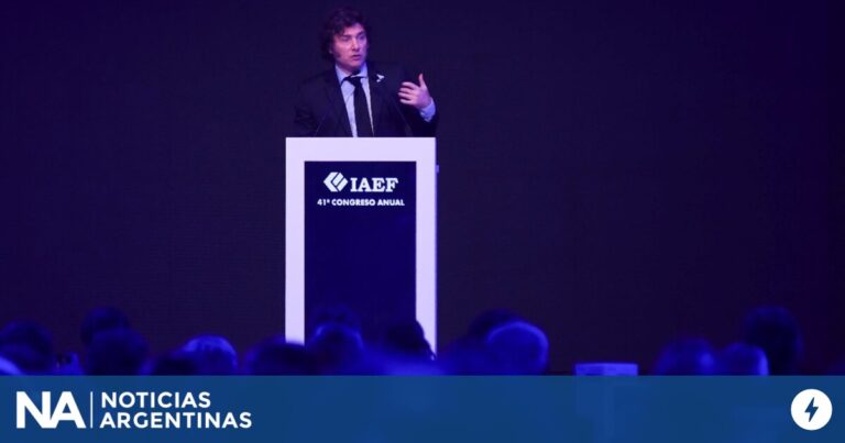 Lee más sobre el artículo Milei, en el IAEF: “Voy a vetar proyectos del Congreso que nos rompan el equilibrio fiscal”