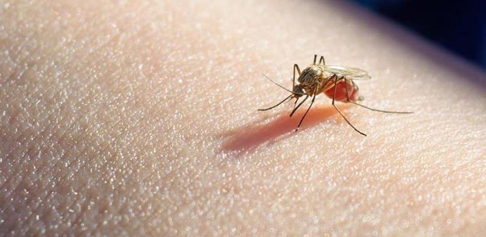 Lee más sobre el artículo Primer caso de malaria en la provincia de 2024