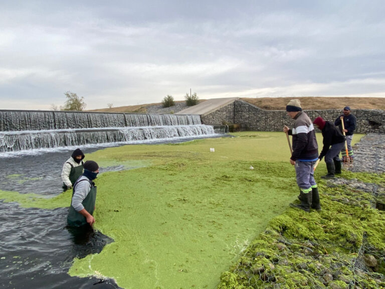 Lee más sobre el artículo San Luis Agua realiza tareas de limpieza en los espejos de agua de Villa Mercedes