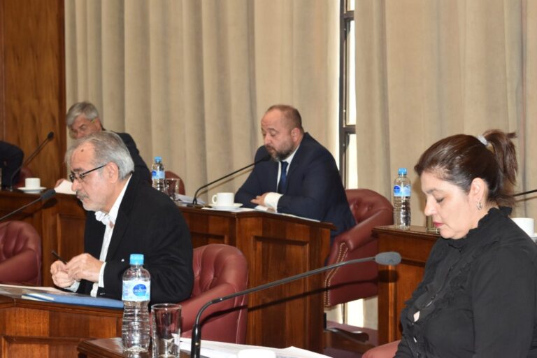 Lee más sobre el artículo El Senado deroga la Ley de Parajes para fortalecer el control judicial en San Luis