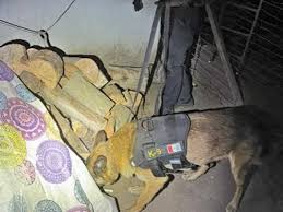 Lee más sobre el artículo Dirigía una banda narco desde la cárcel de Río Cuarto y su familia vendía la droga: hay otros nueve detenidos