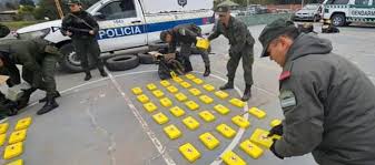 Lee más sobre el artículo En Salta dictaron prisión preventiva para dos policías que cargaban con 420 kilos de cocaína