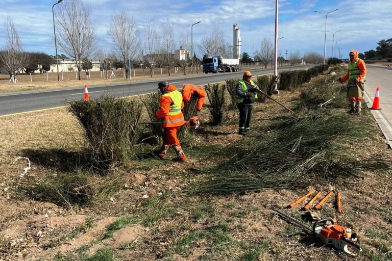 Lee más sobre el artículo Avanza el operativo de poda para mejorar la seguridad en la autopista Serranías Puntanas