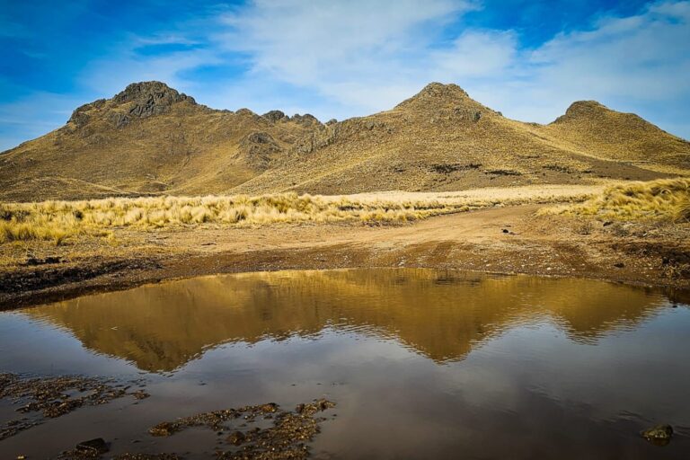 Lee más sobre el artículo ¿Cómo estará el clima esta semana en San Luis?