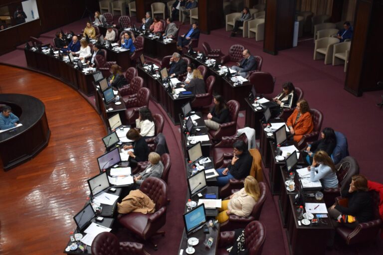 Lee más sobre el artículo San luis creará una comisión para evaluar el sistema electoral y el traspaso de mando
