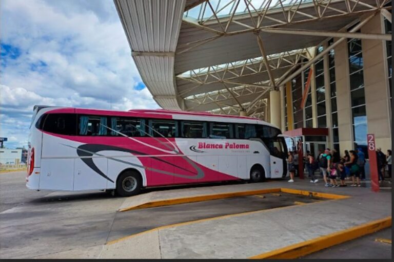 Lee más sobre el artículo Nueva extensión del corredor de transporte conecta San Martín, Potrerillo y San Luis