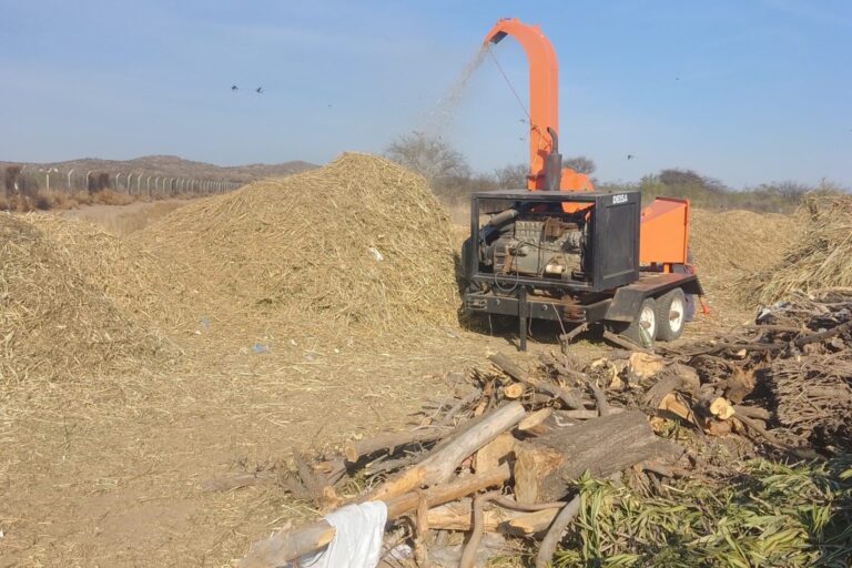 Lee más sobre el artículo Viveros de San Luis reciben más de 140 toneladas de residuos verdes para compostaje