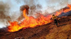 Lee más sobre el artículo El Gobierno envía asistencia para combatir los incendios en Tucumán, La Rioja y Corrientes