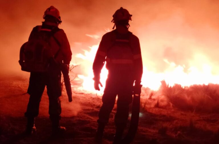 Lee más sobre el artículo Detenidos por los incendios en el paraje Balcarce y Donovan: el fuego sigue fuera de control