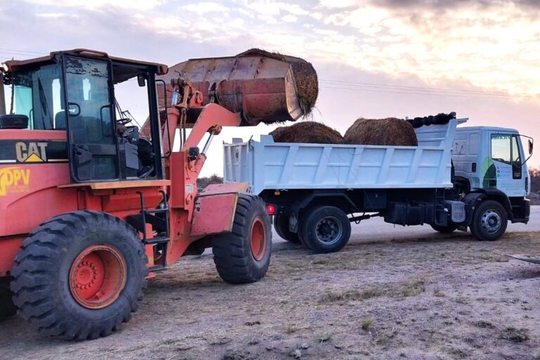 Lee más sobre el artículo Distribuyen agua y alimentos para animales en la zona afectada por los incendios