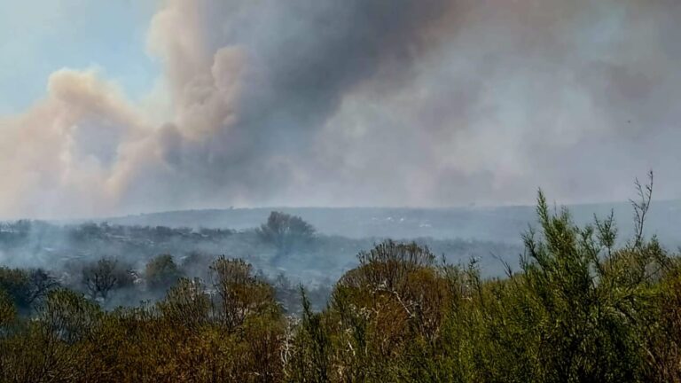 Lee más sobre el artículo Contuvieron el incendio más grande del departamento San Martín tras siete días de lucha
