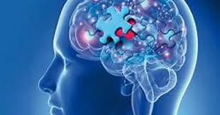 Lee más sobre el artículo Dia Mundial del Alzheimer: Cómo prevenirlo y mantener sano el cerebro