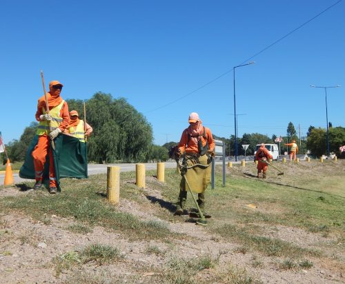 Lee más sobre el artículo Intensifican la recolección de cacharros y recipientes en rutas para prevenir el dengue