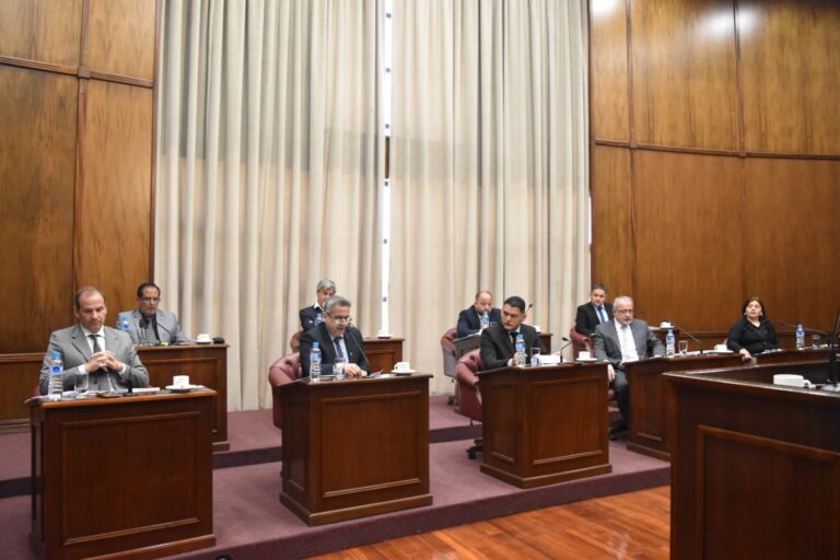 Lee más sobre el artículo El Senado aprobó el Presupuesto 2025: enfocado en educación, trabajo y vivienda, sin deuda ni déficit