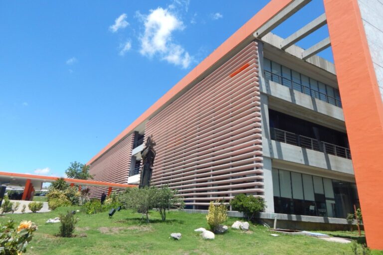 Lee más sobre el artículo San Luis: Poggi cesantea a 19 empleados públicos por uso de certificados médicos falsos